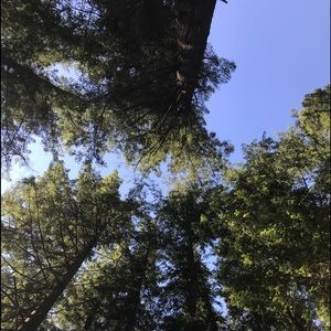 Meet your Posher, Tim